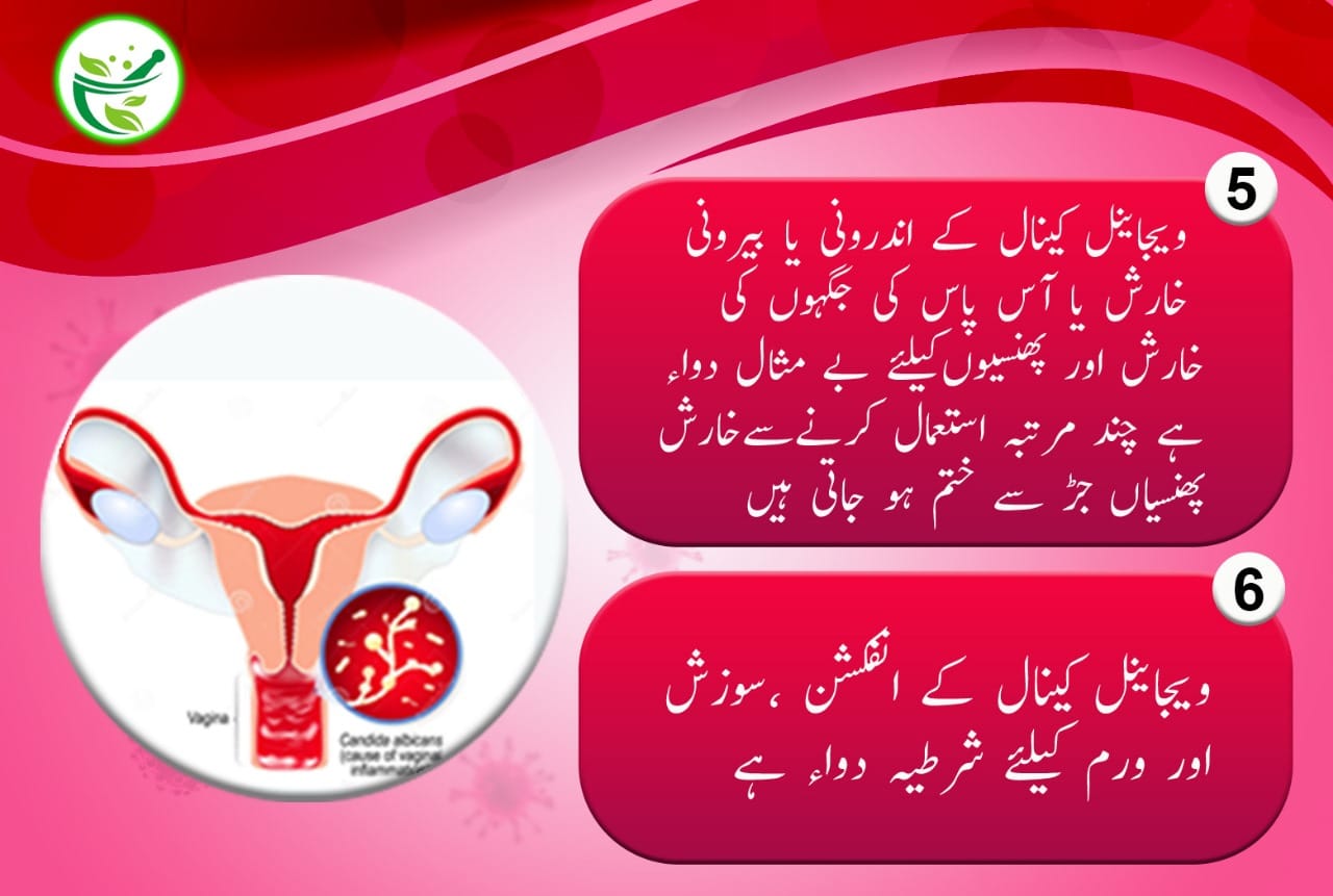 Nigar Amber Shababi Vaginal Ointment–Pure Herbal Formula for Feminine Care by Ghazali Matab.