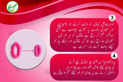 Nigar Amber Shababi Vaginal Ointment–Pure Herbal Formula for Feminine Care by Ghazali Matab.